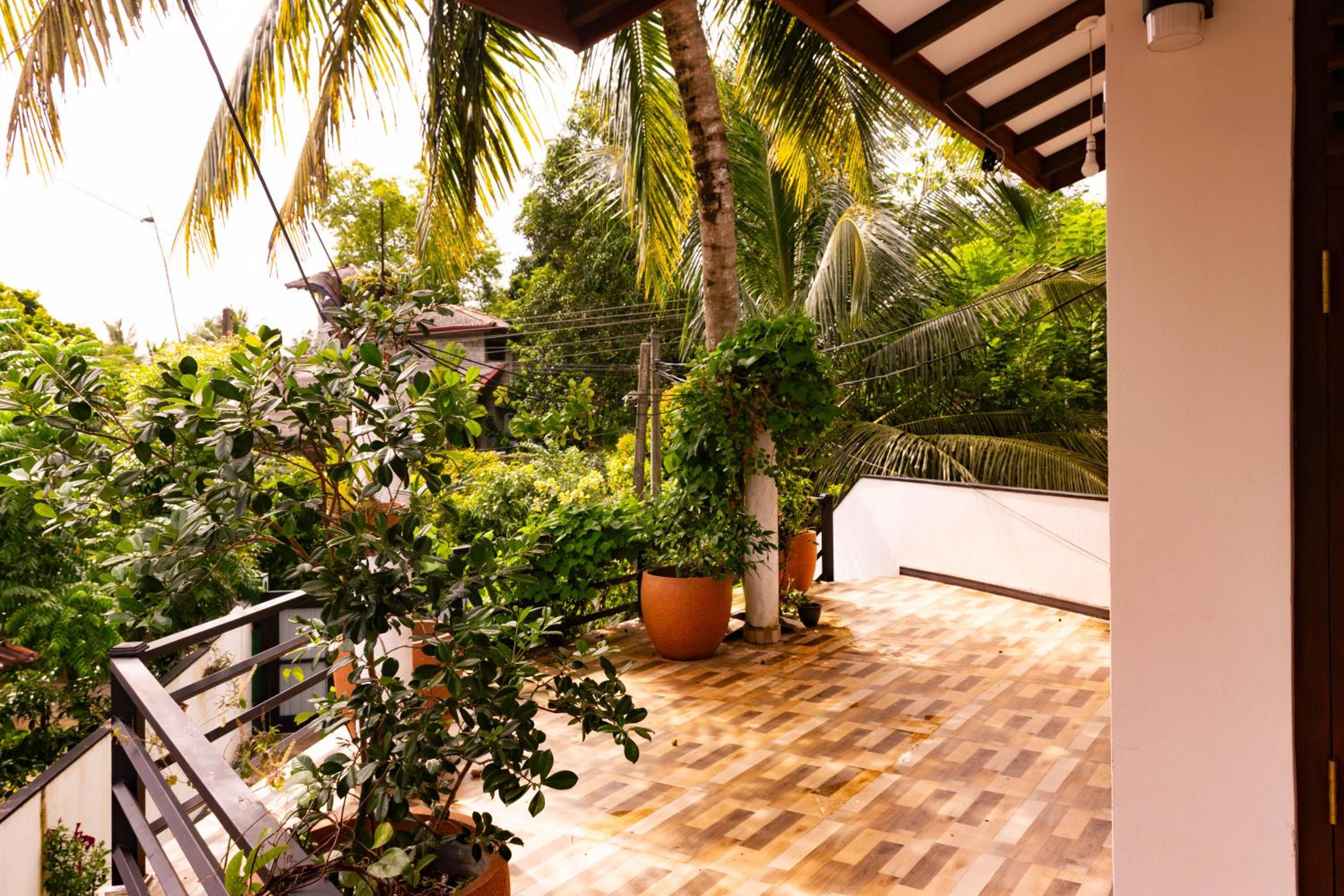 Shevo Oasis view 3