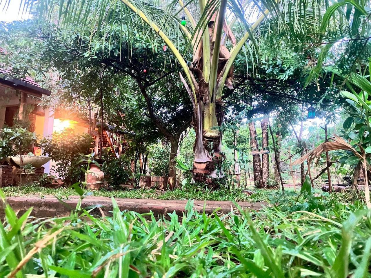 JUNGLE HOSTEL Habarana