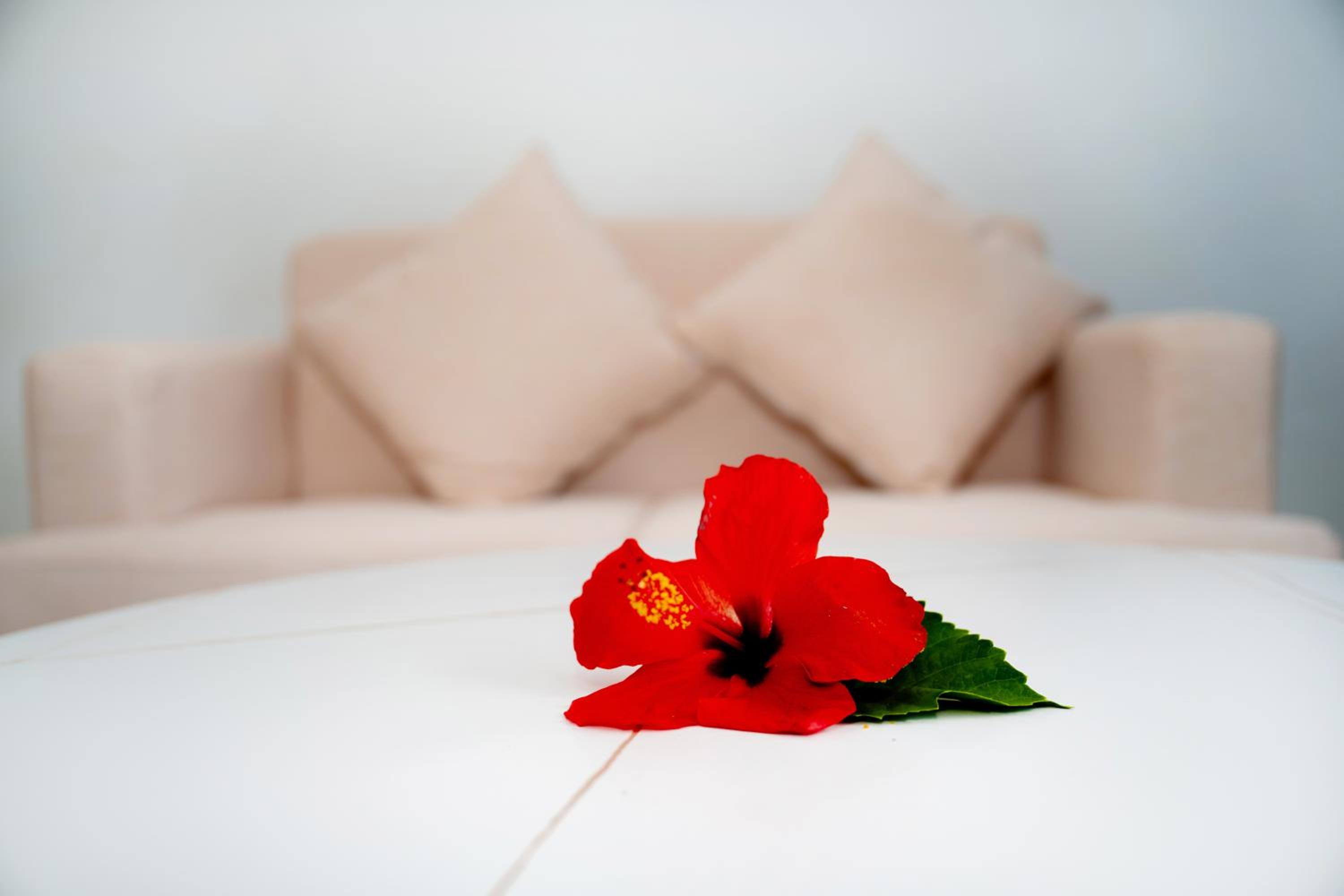 Farish Self Catering