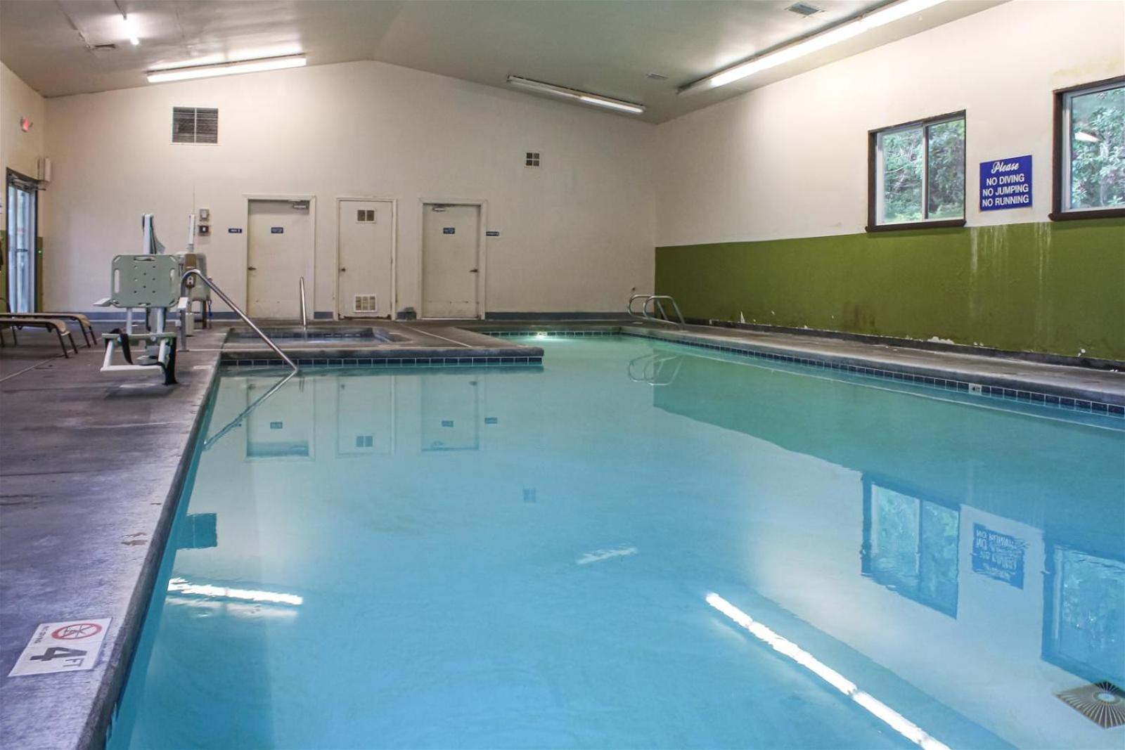Sq Orca Oasis