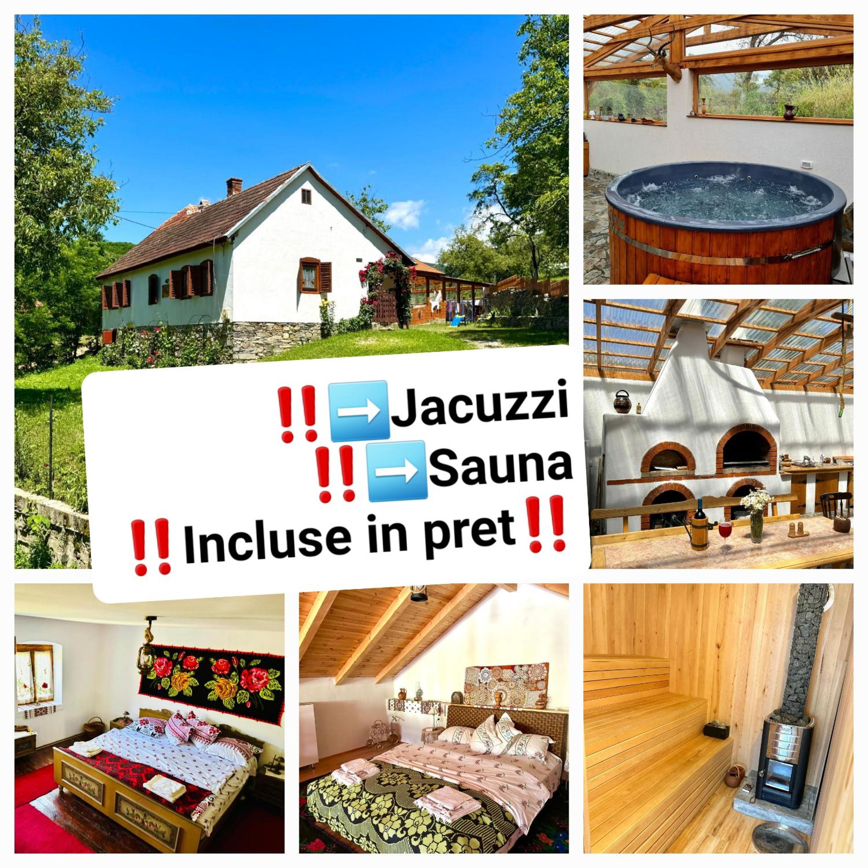 Pensiunea Casa Țărănească view 2