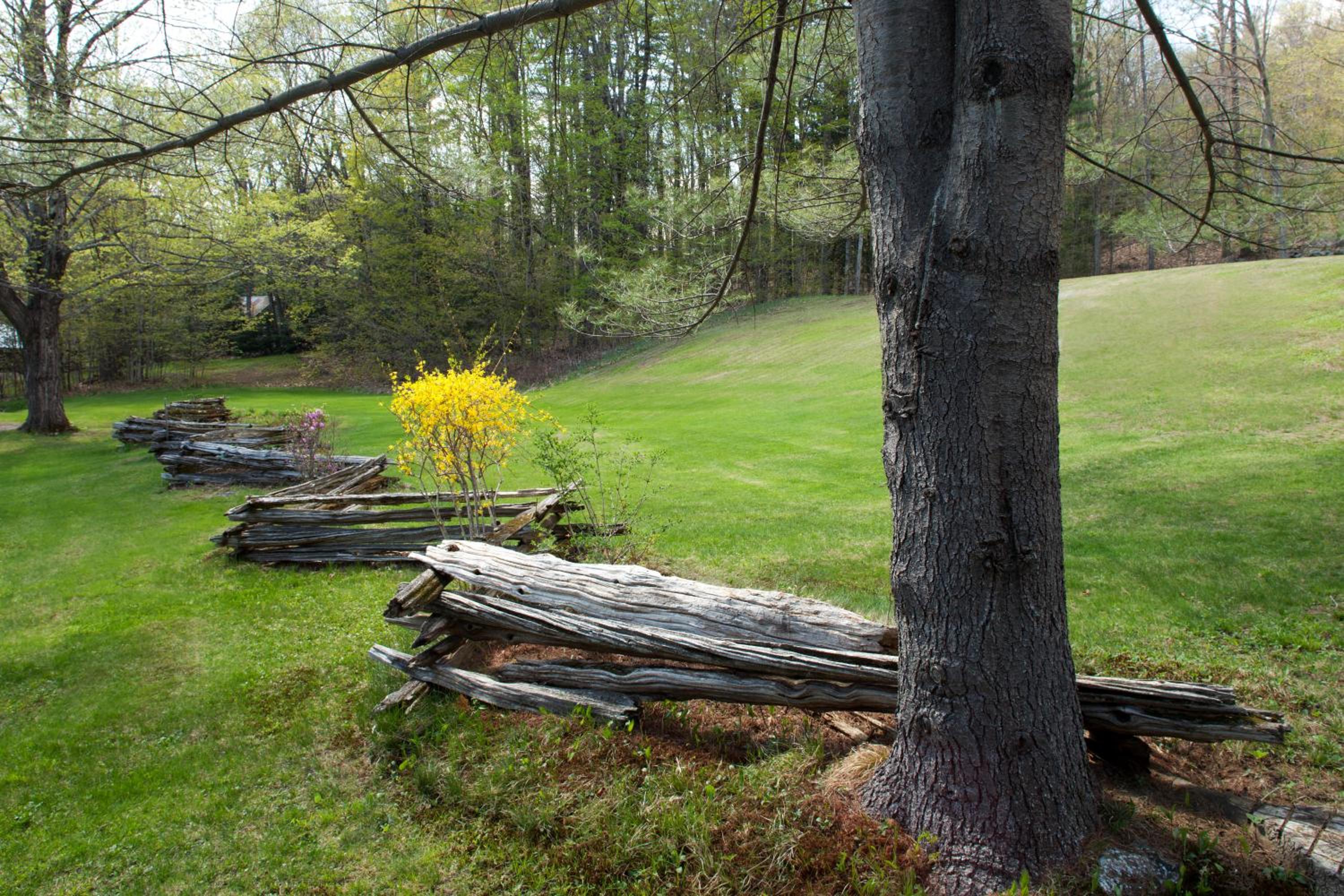 Inn on Golden Pond