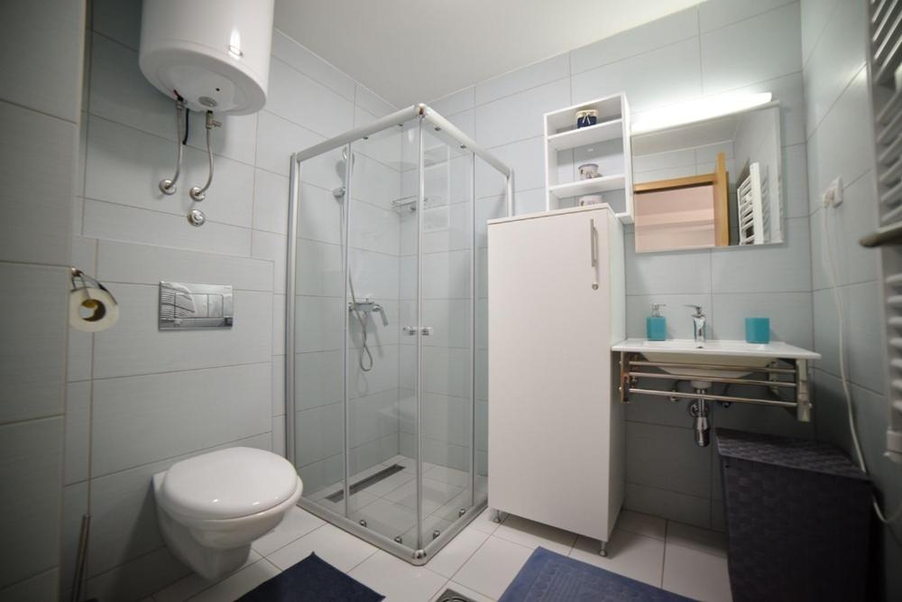 Apartman Sofija 19 view 4