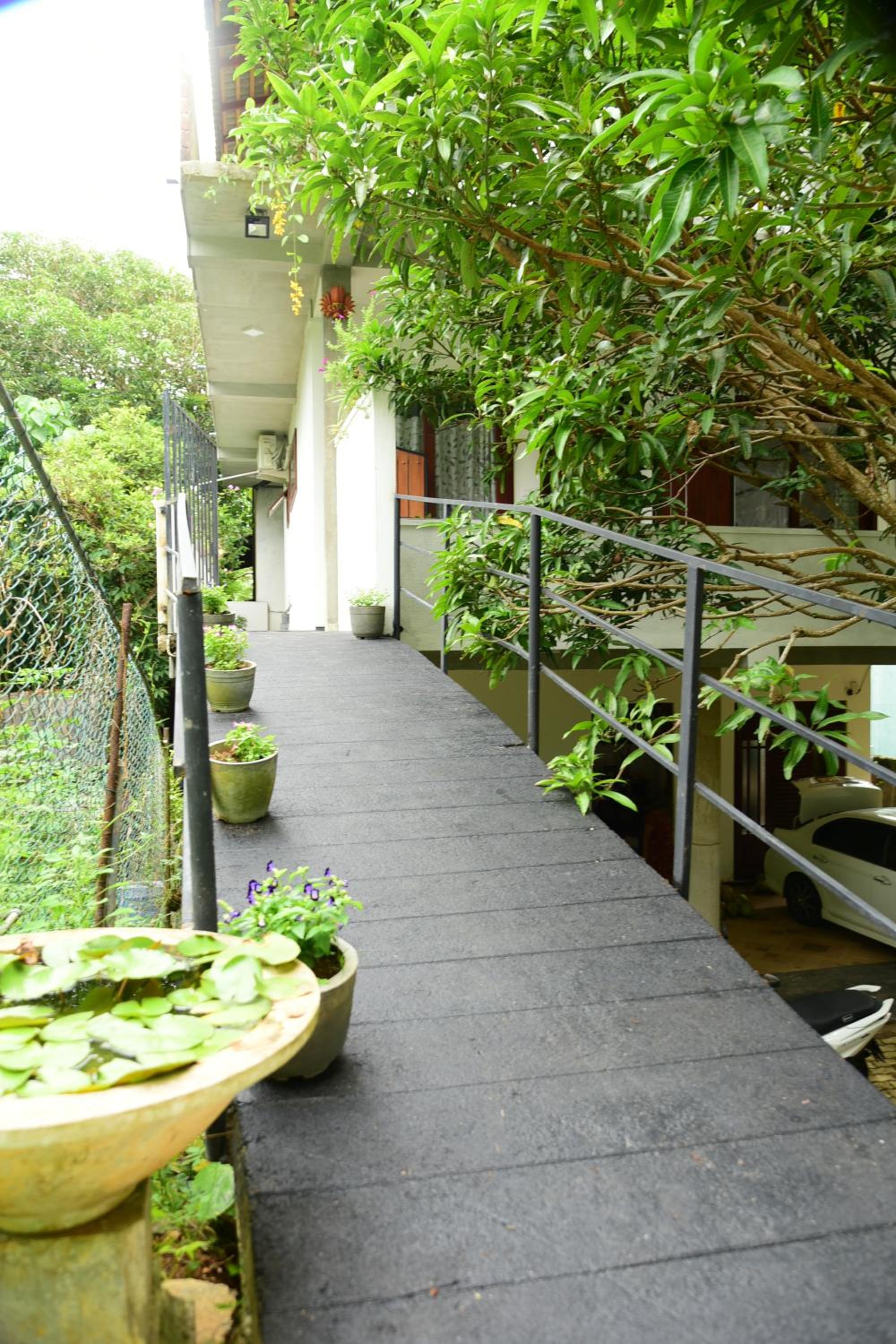 Photo 25