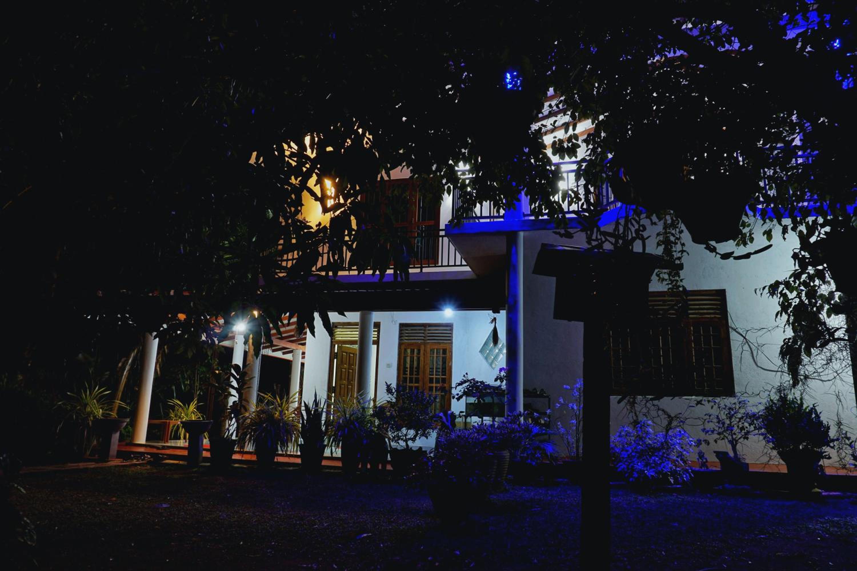 Lavender Resort