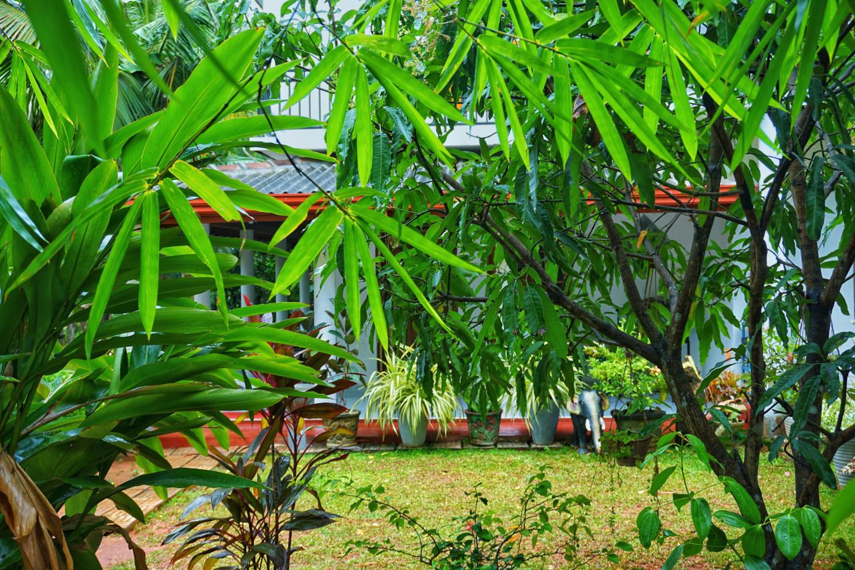 Lavender Resort