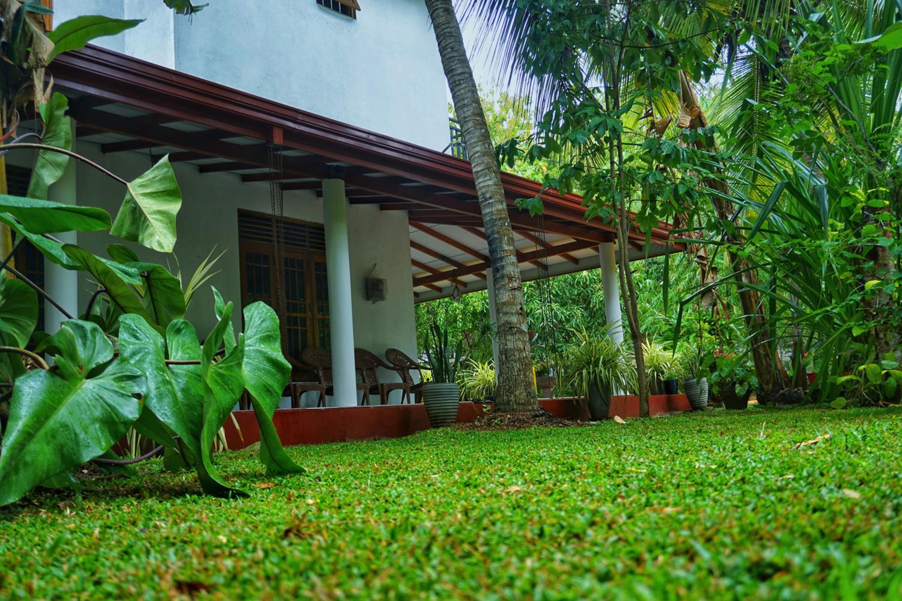 Lavender Resort
