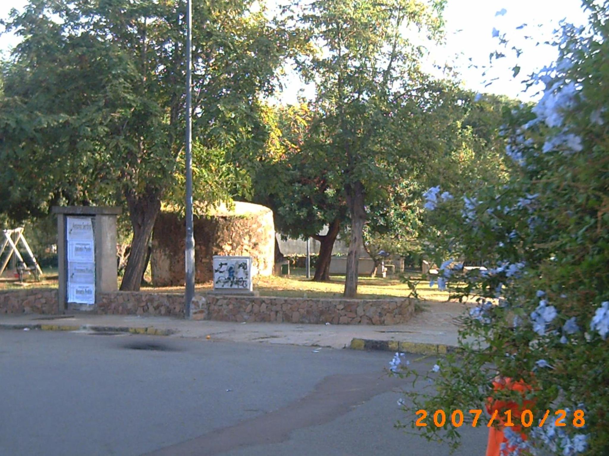 Photo 20