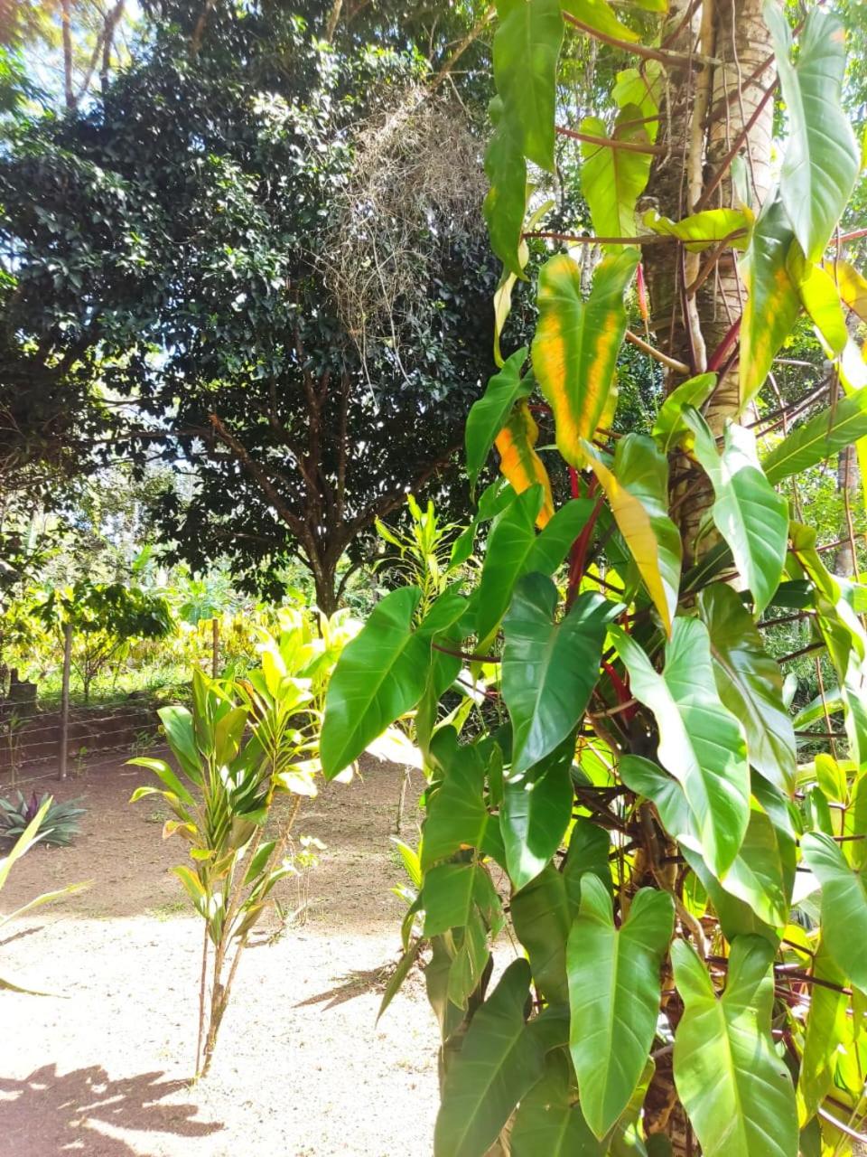 Casa Burundanga - Itacaré, Engenhoca, Havaizinho & Itacarezinho
