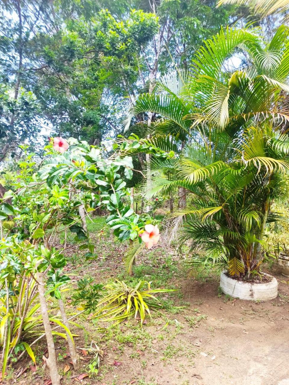Casa Burundanga - Itacaré, Engenhoca, Havaizinho & Itacarezinho
