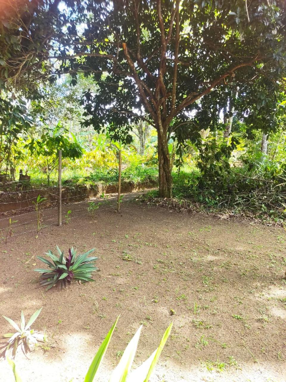 Casa Burundanga - Itacaré, Engenhoca, Havaizinho & Itacarezinho
