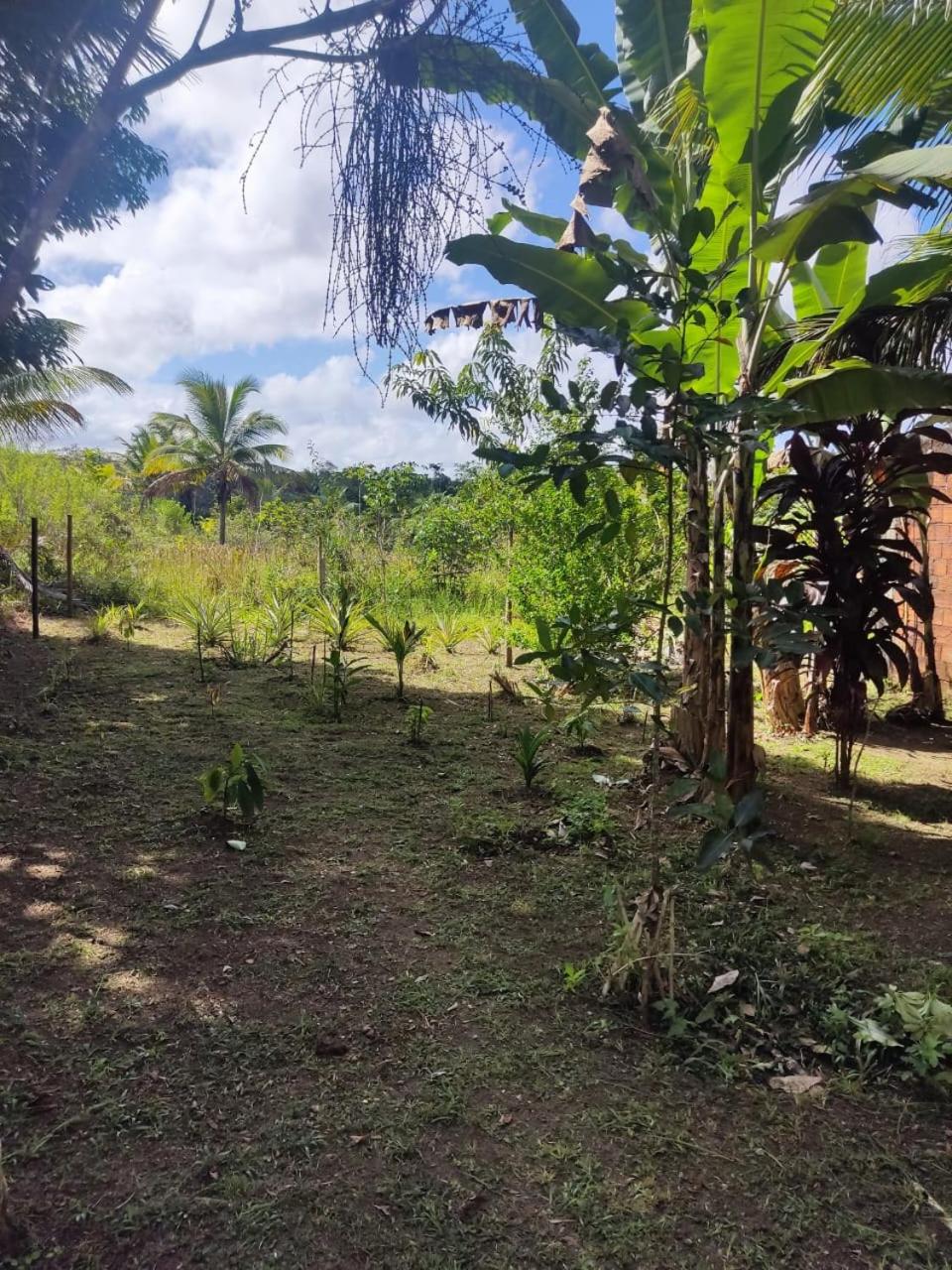 Casa Burundanga - Itacaré, Engenhoca, Havaizinho & Itacarezinho