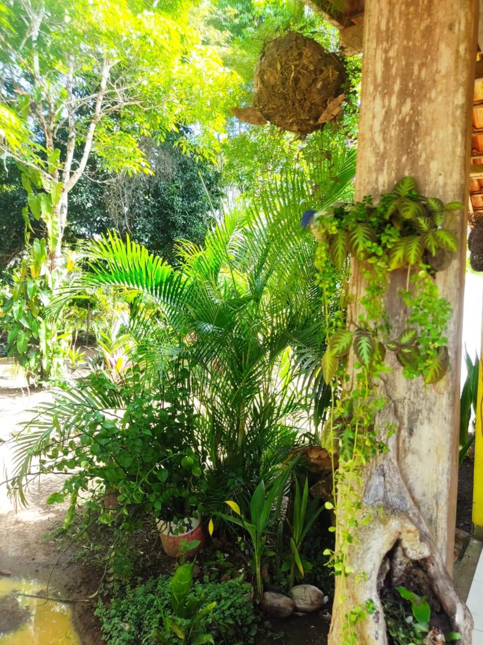 Casa Burundanga - Itacaré, Engenhoca, Havaizinho & Itacarezinho