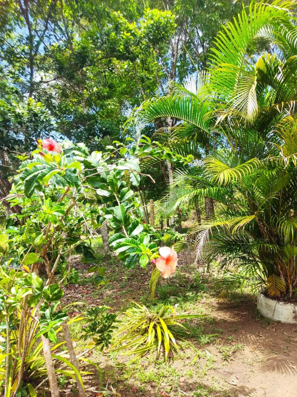 Casa Burundanga - Itacaré, Engenhoca, Havaizinho & Itacarezinho