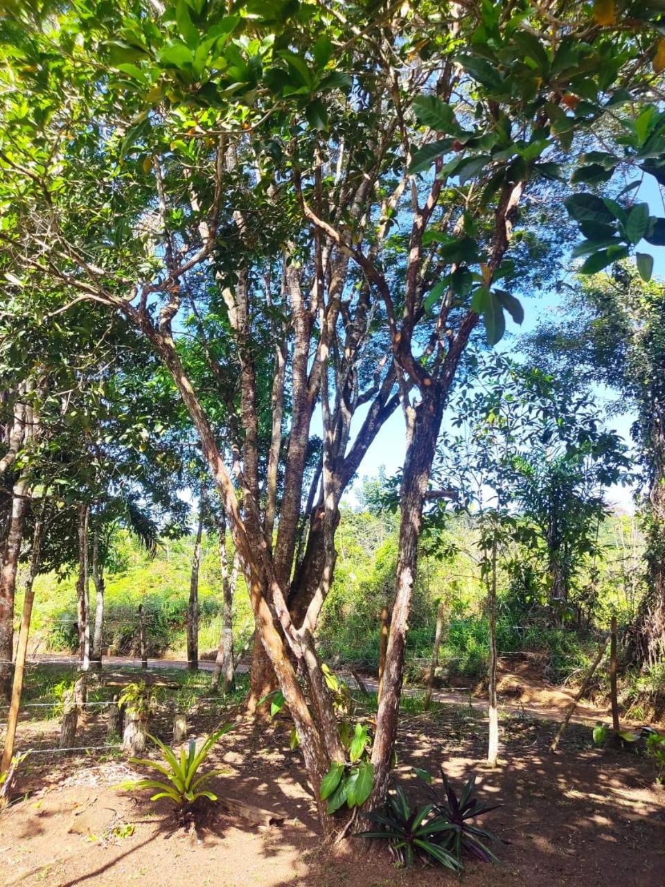 Casa Burundanga - Itacaré, Engenhoca, Havaizinho & Itacarezinho