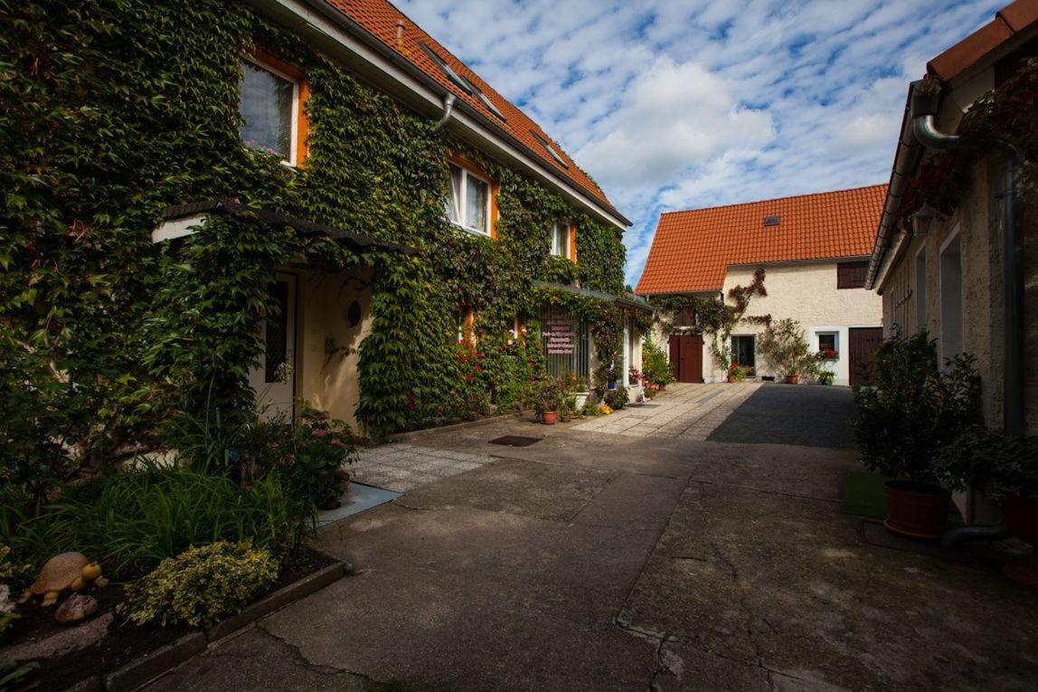 Ferienwohnung-Nr-2-Quitte view 2