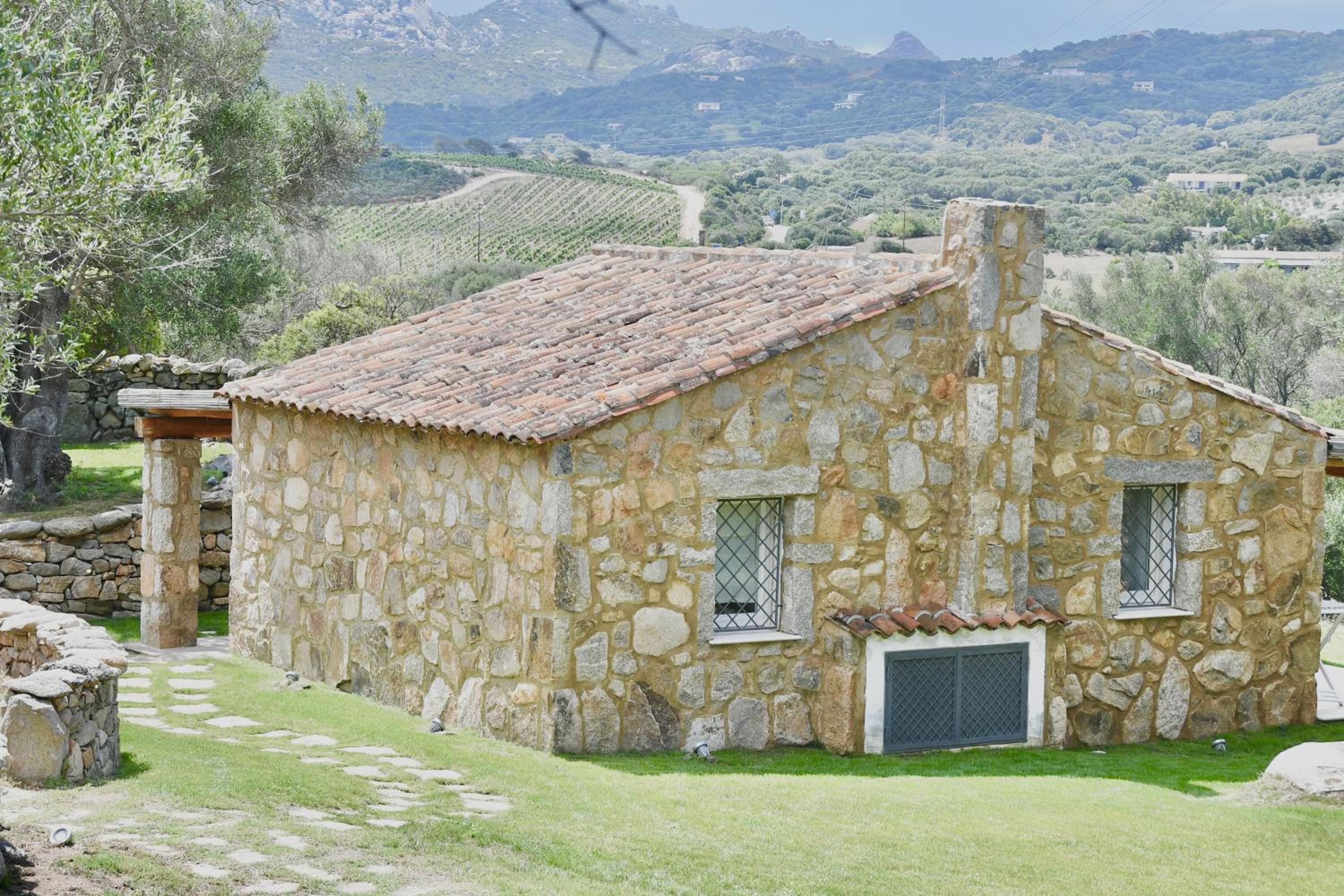 Petra d'arana