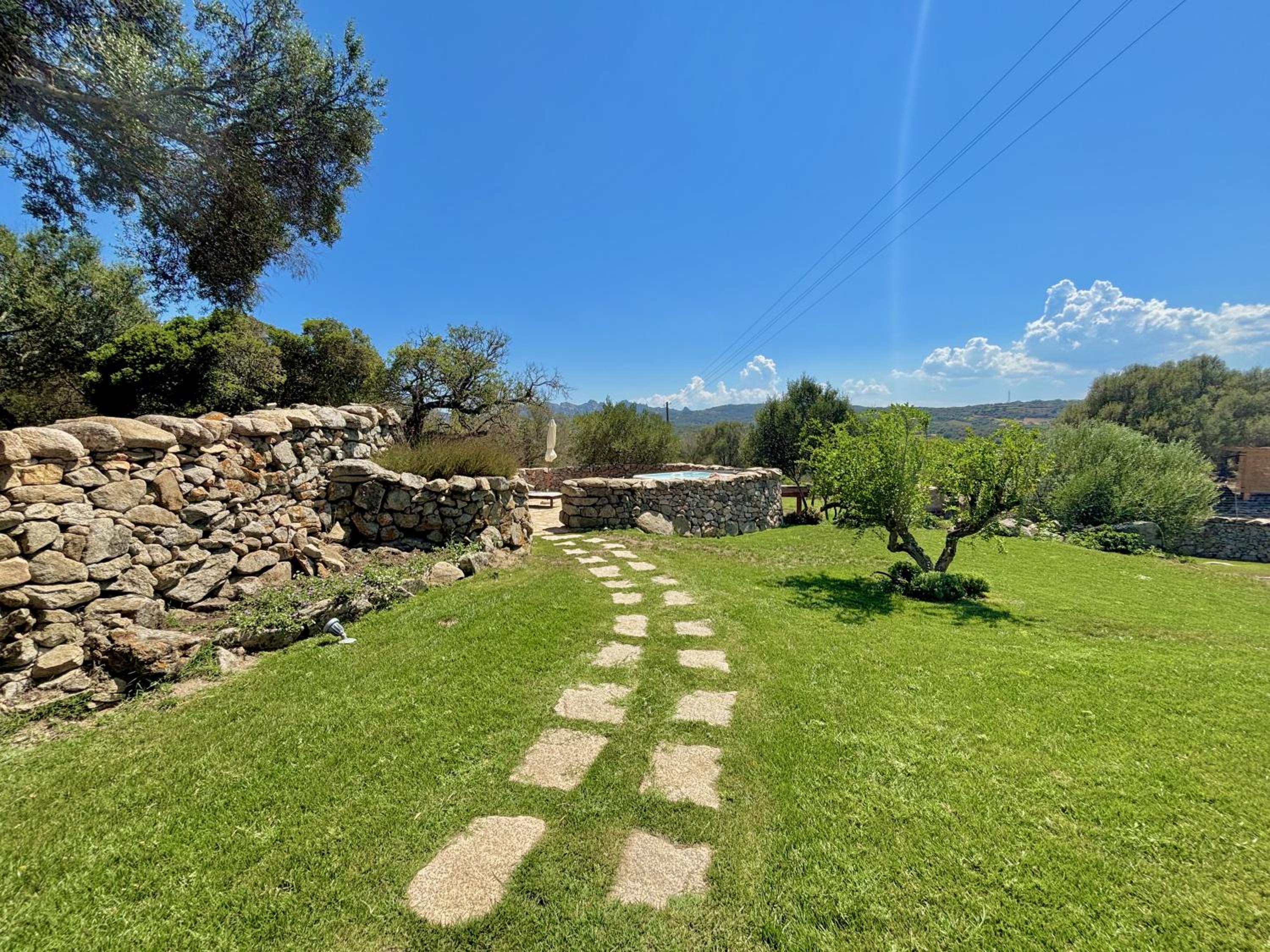 Petra d'arana