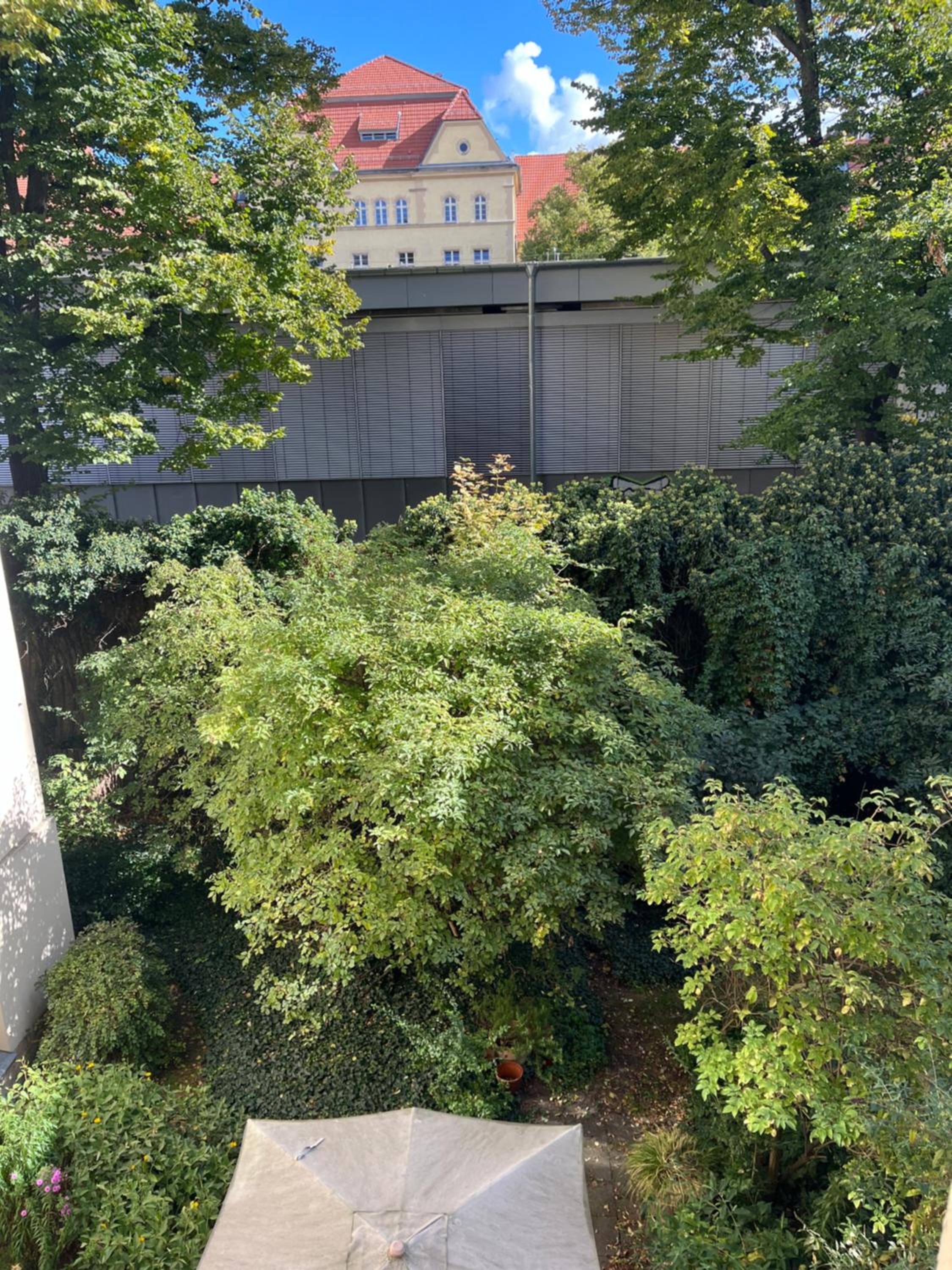 Wunderschöne, großzügige Altbauwohnung in Mitte