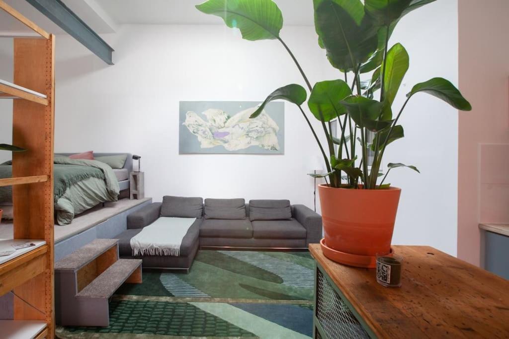 Atelier Botanicó