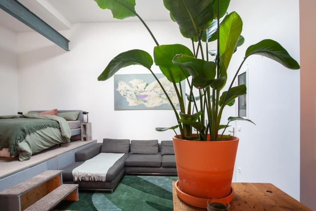 Atelier Botanicó