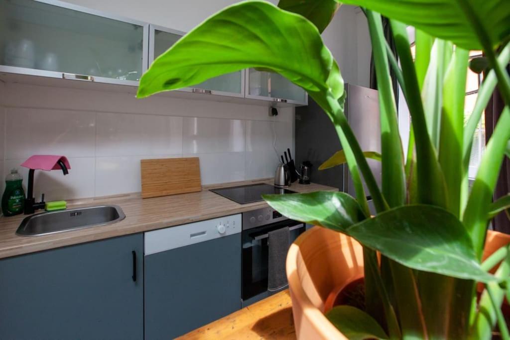 Atelier Botanicó