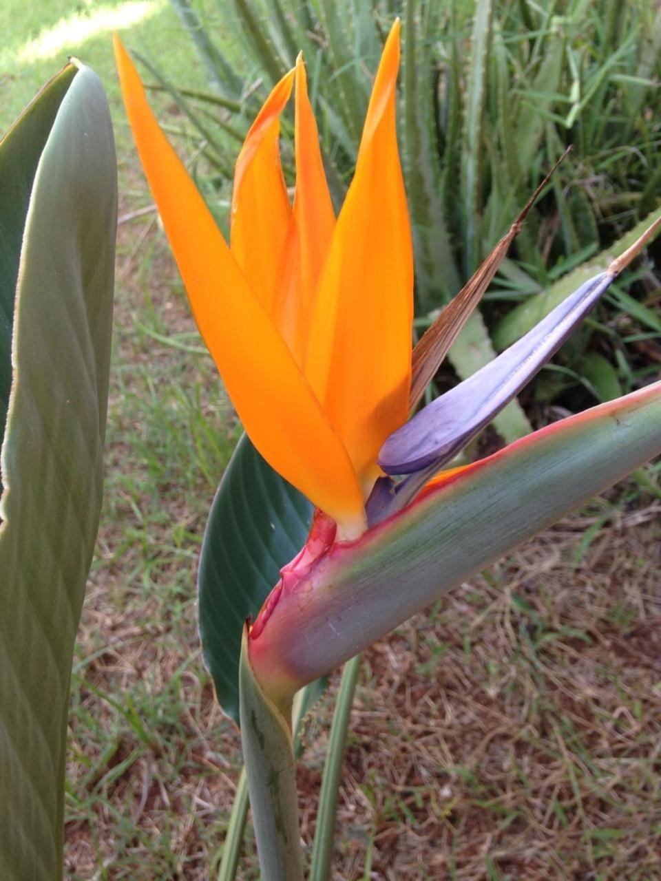 Photo 46