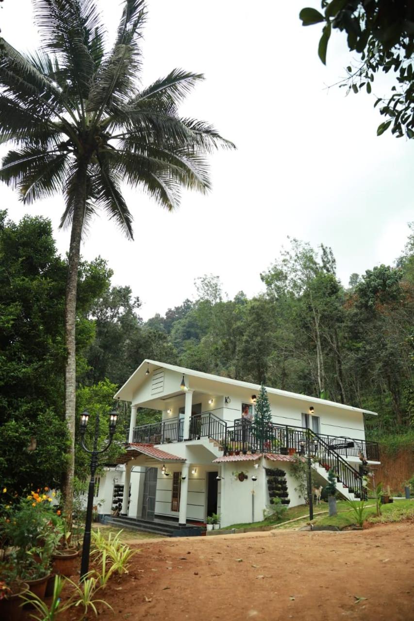 Pepper Tree Munnar view 4