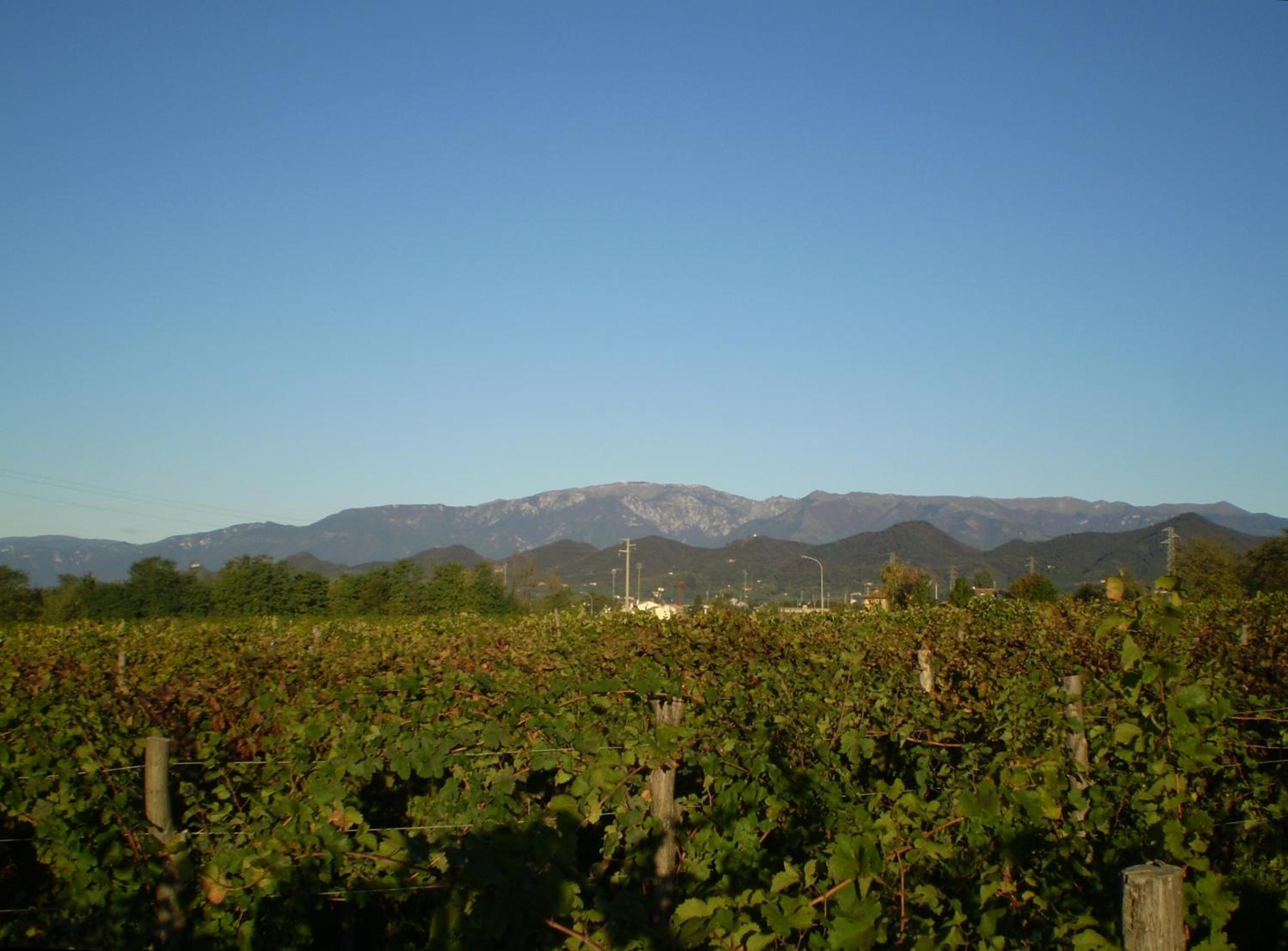 Col Delle Rane