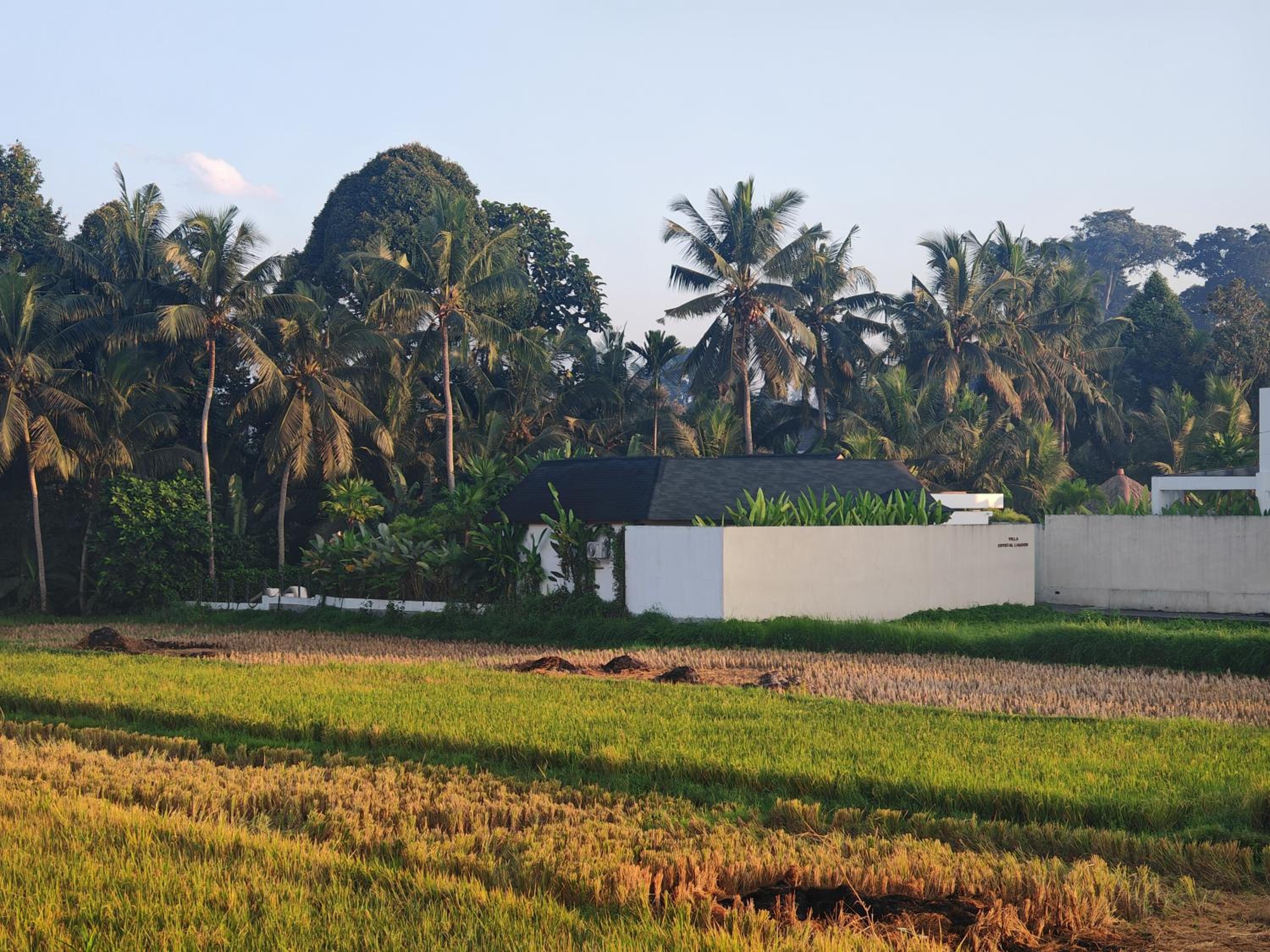 female-only solowe home villa