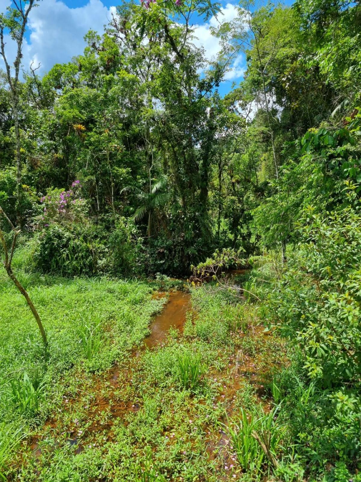 Sitio Herzland