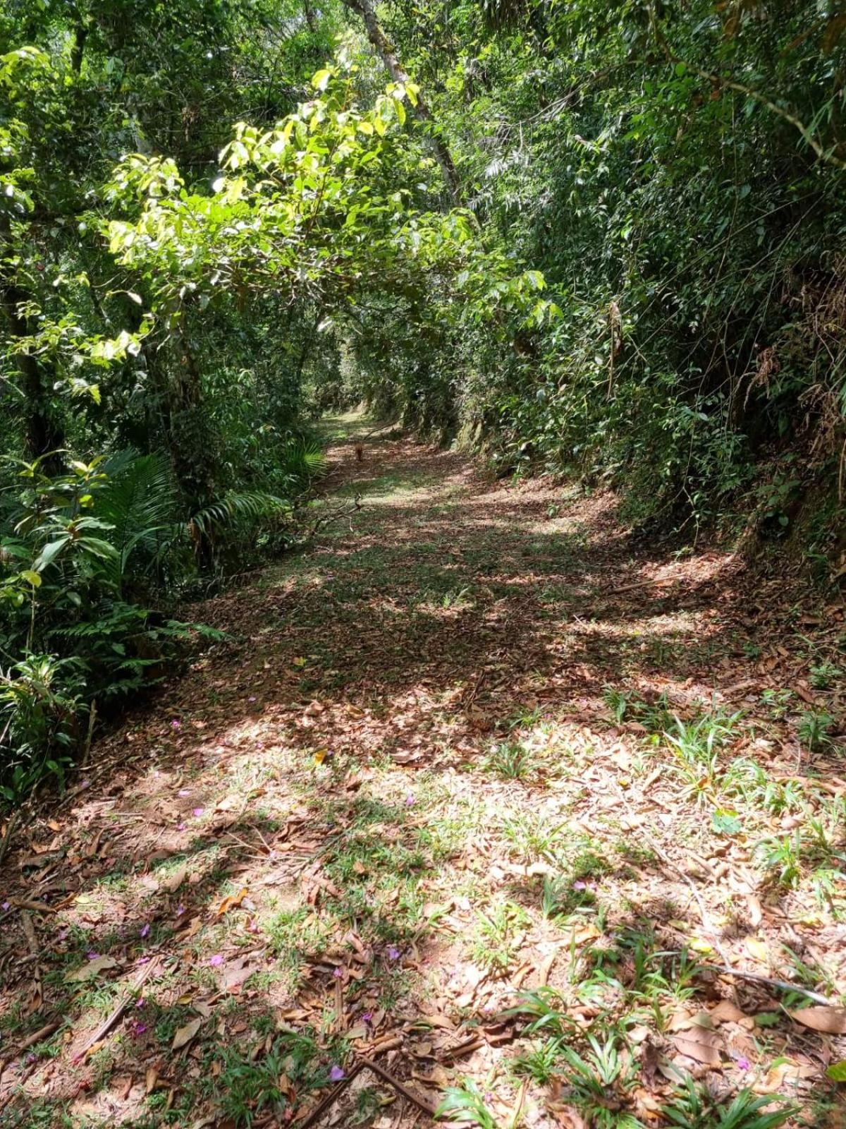 Sitio Herzland