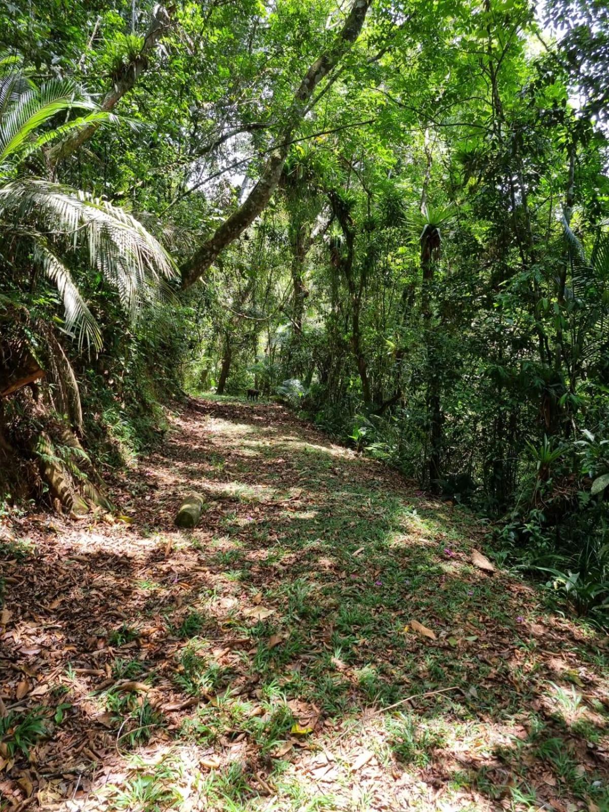 Sitio Herzland