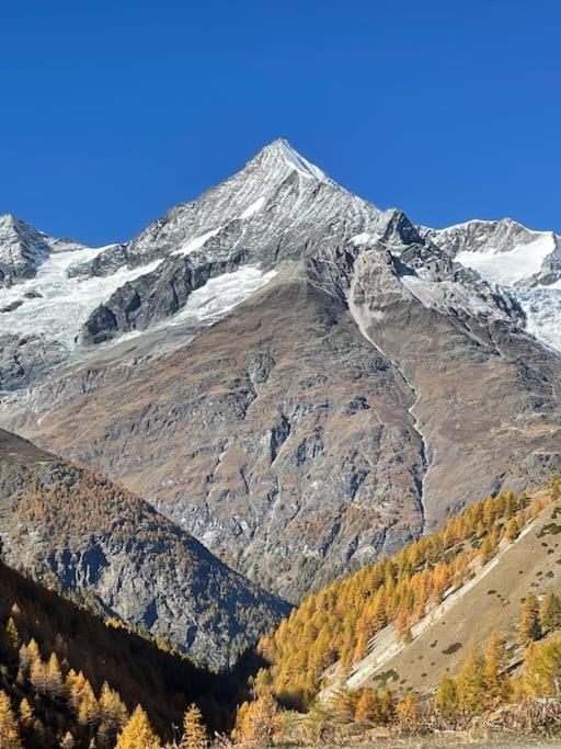 Maisonette Wohnung - Chalet Amethyst in Taesch bei Zermatt
