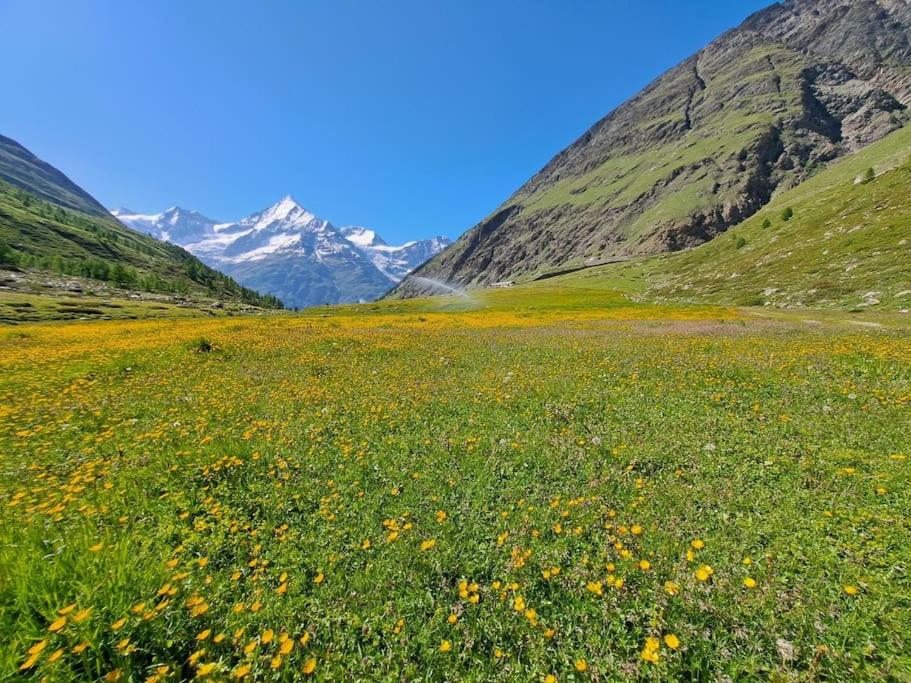 Maisonette Wohnung - Chalet Amethyst in Taesch bei Zermatt