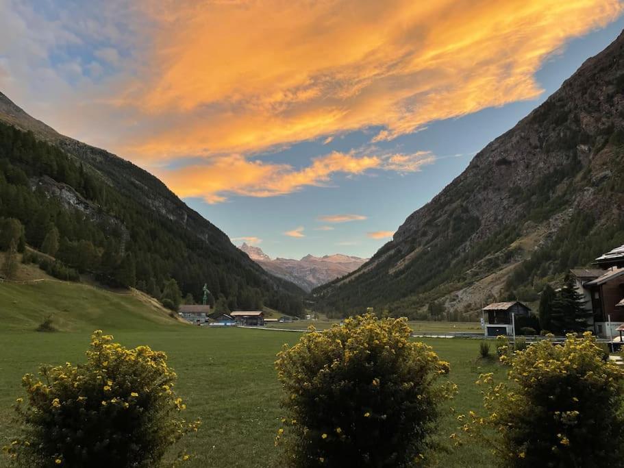 Maisonette Wohnung - Chalet Amethyst in Taesch bei Zermatt
