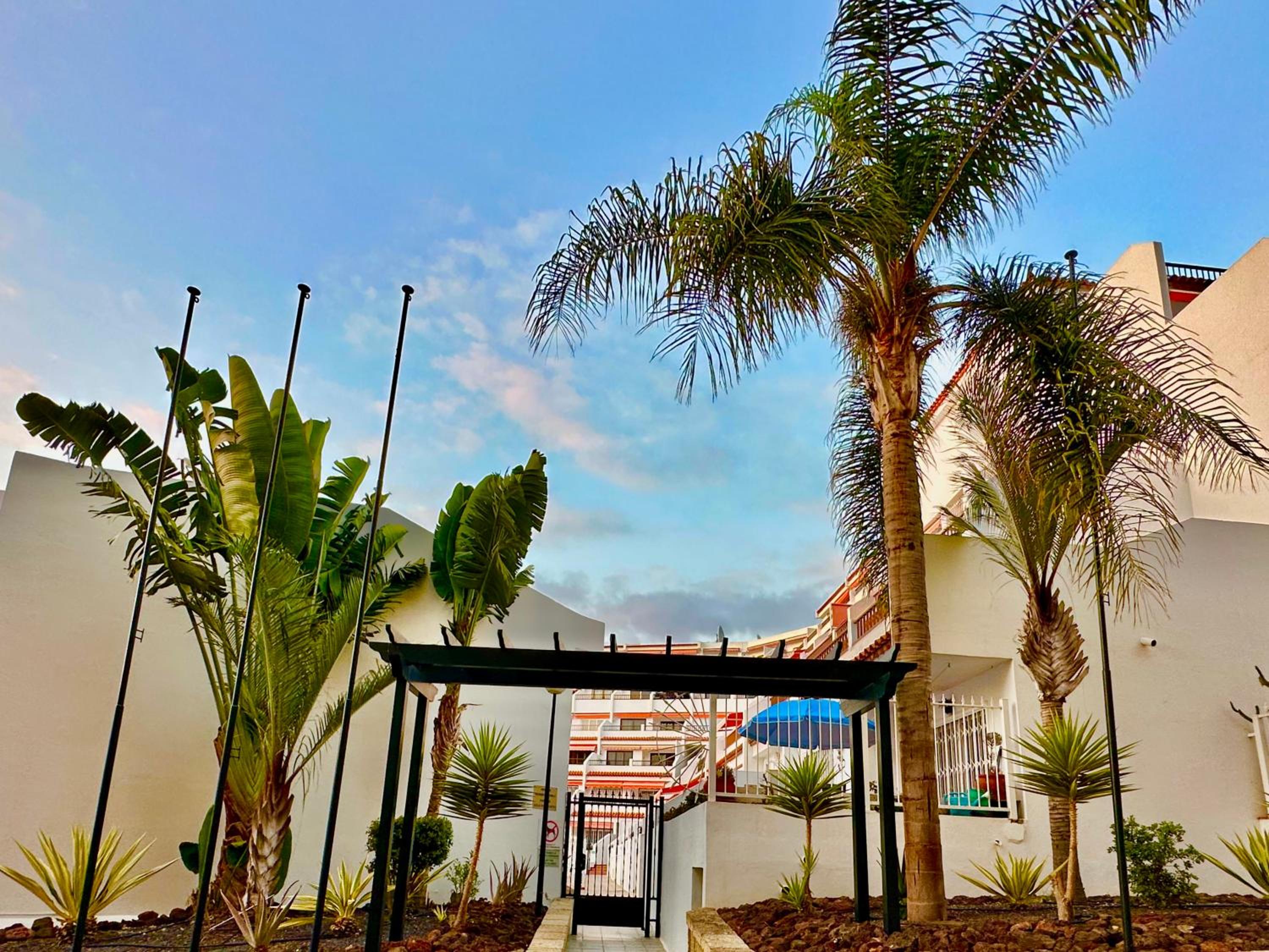 Apartment in Ocean Park II, Costa Adeje, Tenerife view 3