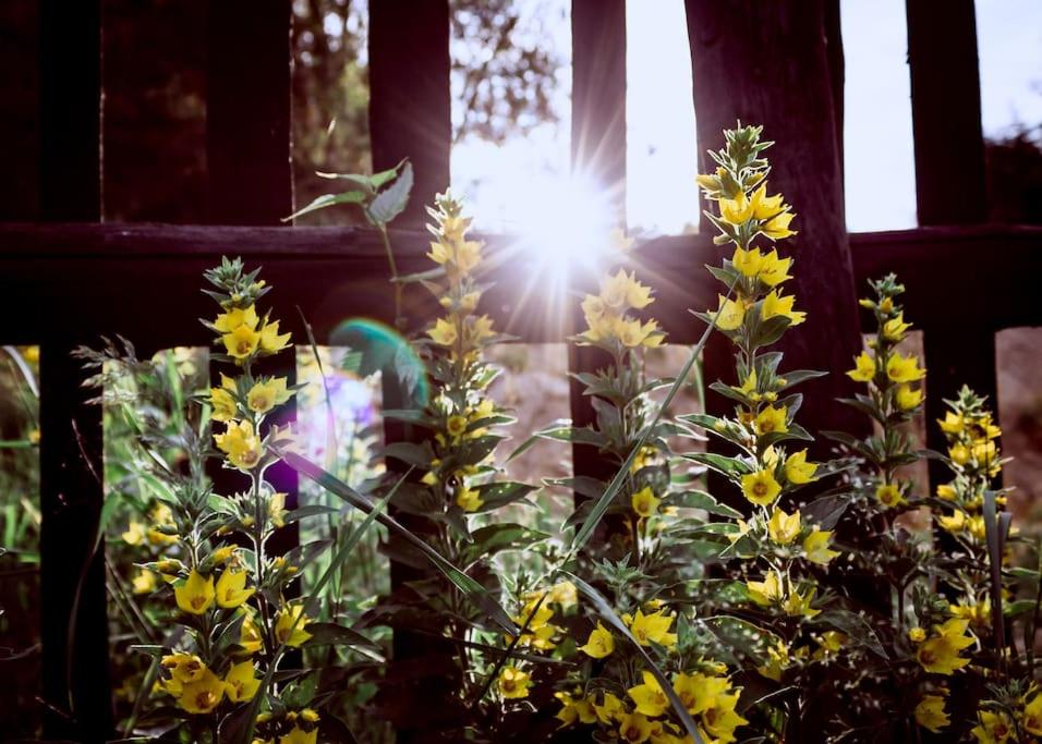 ENJOY COZY NEST View Hills Garden Forest Sauna Hottub