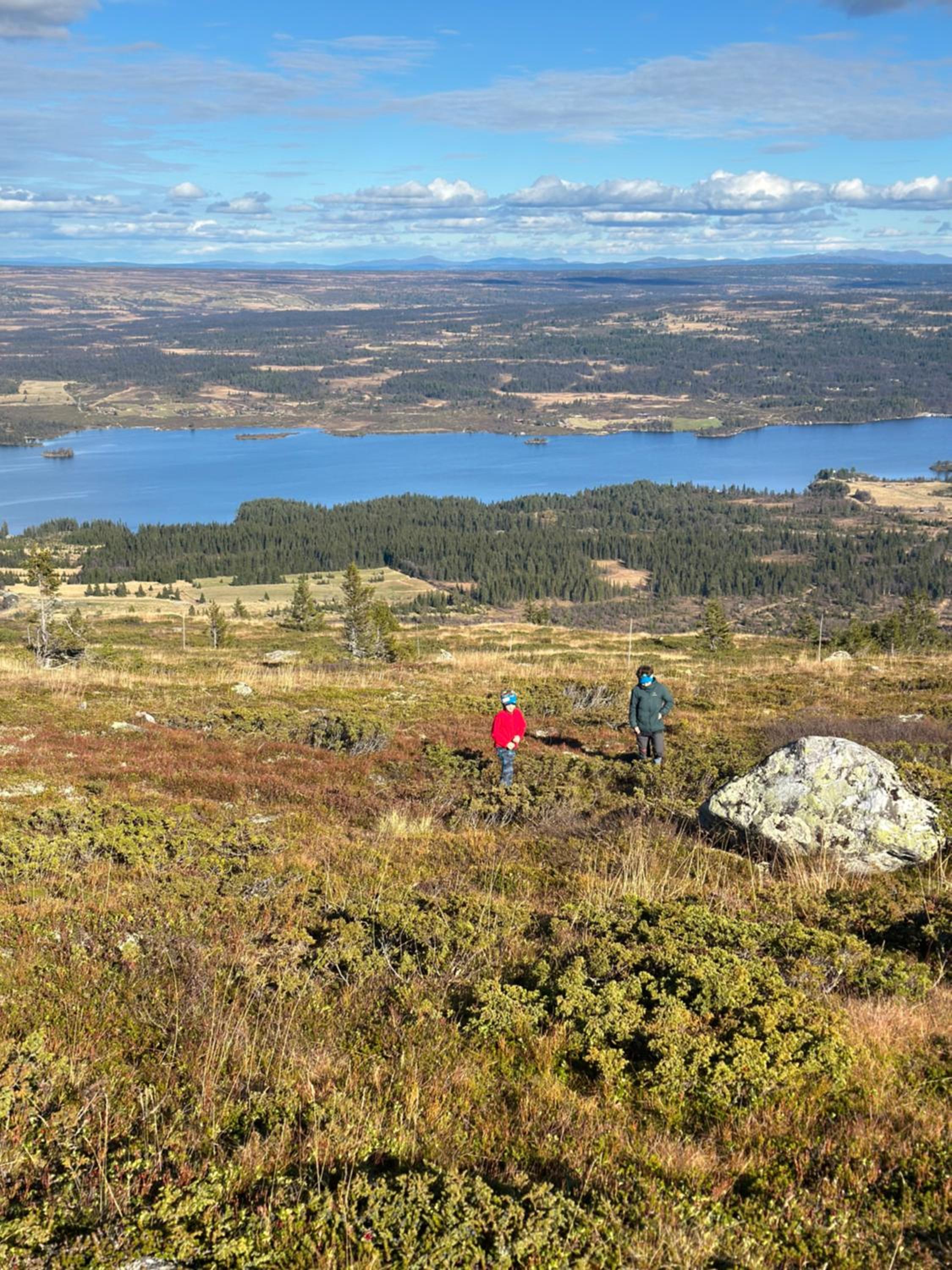 Leilighet på Bualie, Golsfjellet view 4