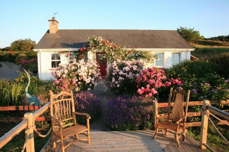 Herons Cove Cottage - Property Image 16