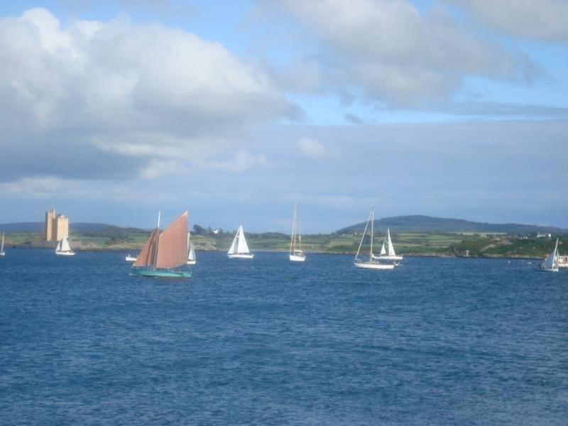 Herons Cove Cottage - Property Image 22