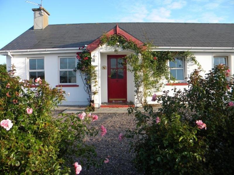 Herons Cove Cottage - Property Image 5