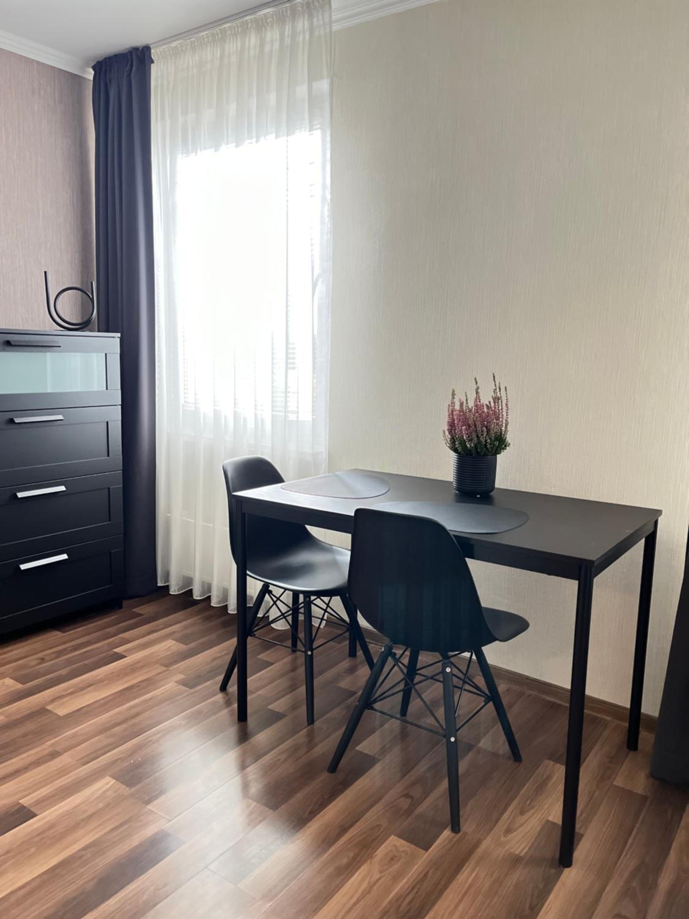 Vienibas apartment view 2