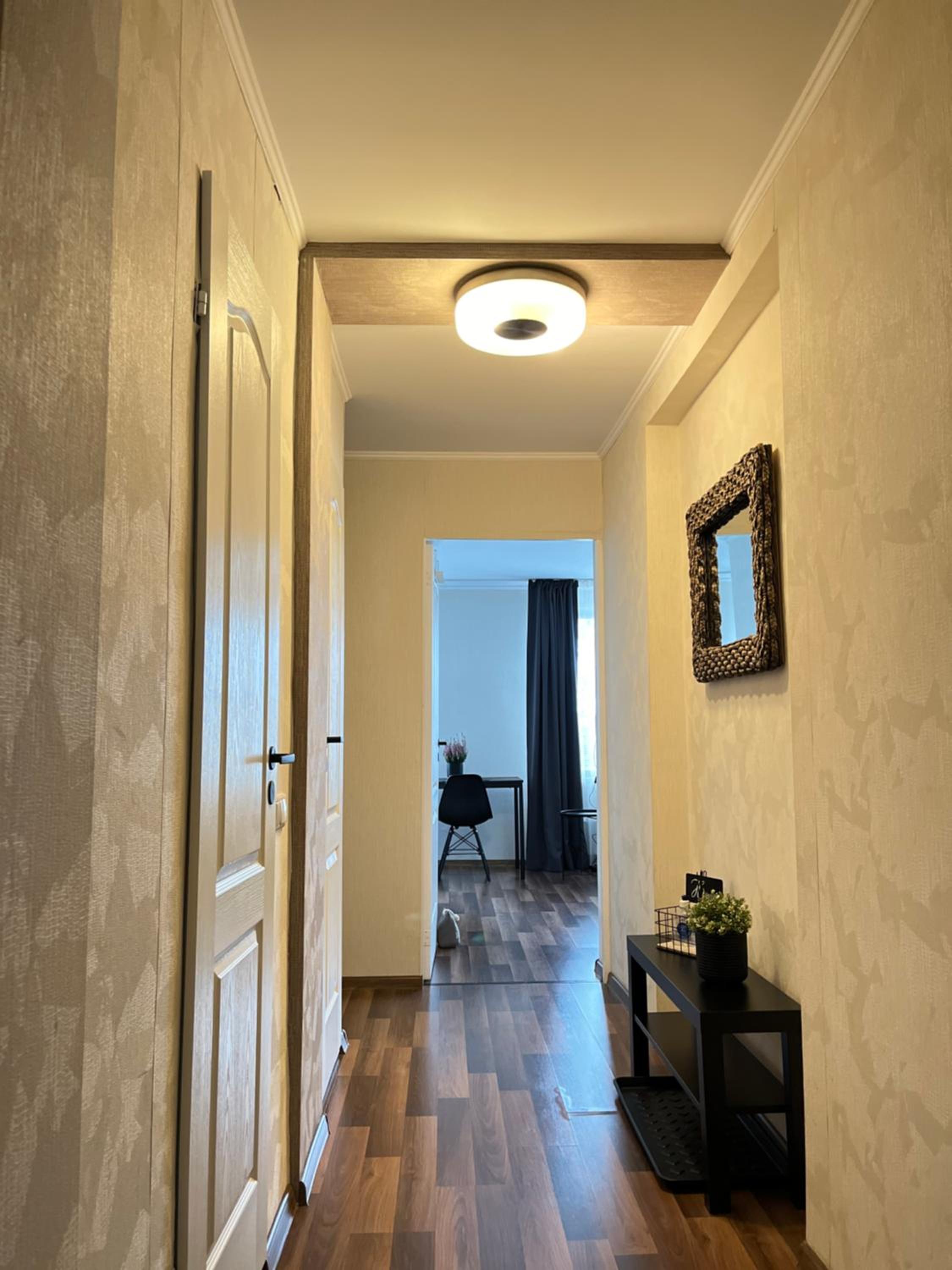 Vienibas apartment view 5