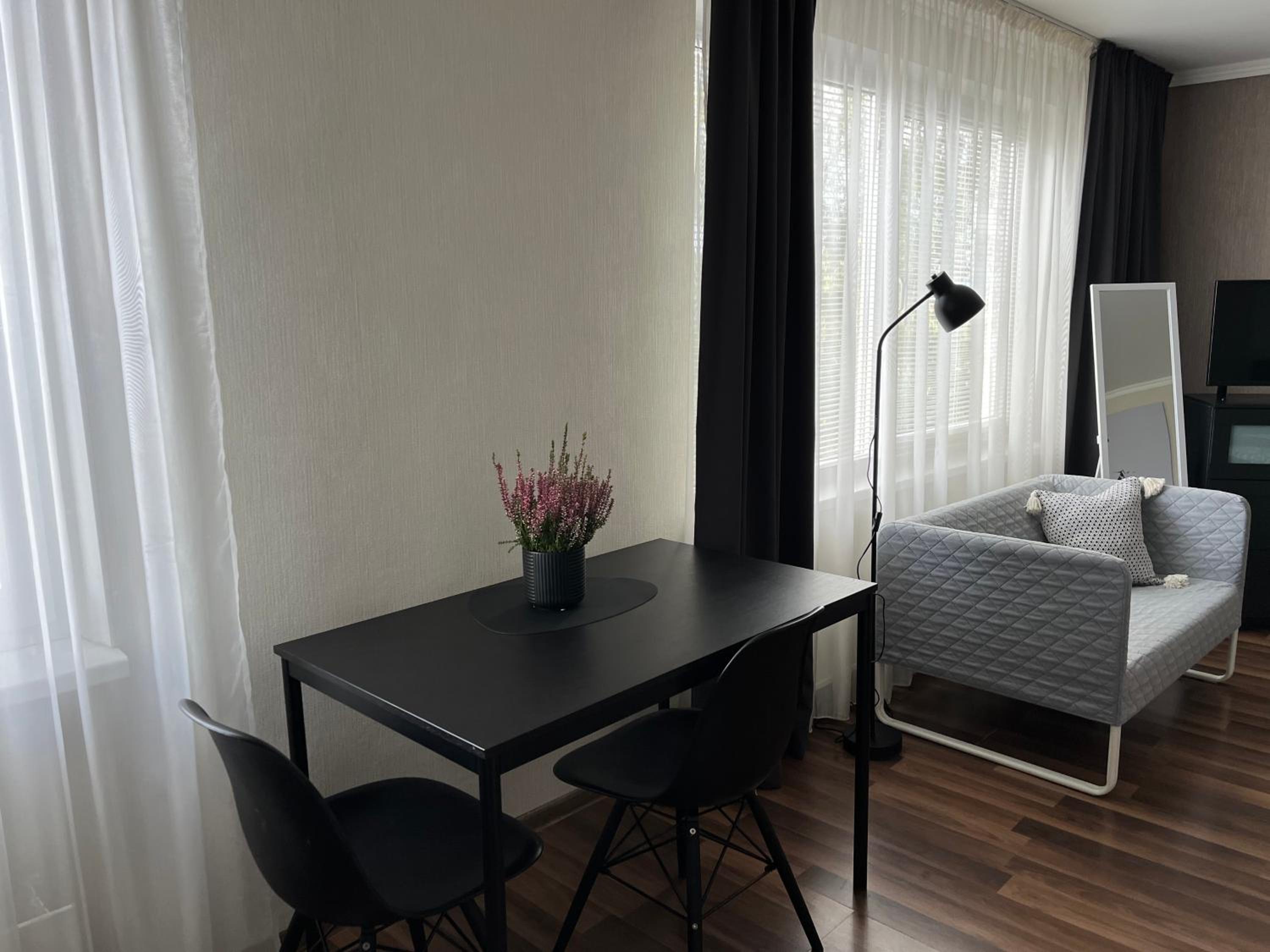 Vienibas apartment view 4