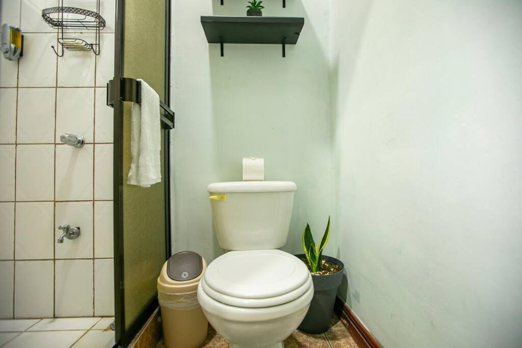Casa Chelis