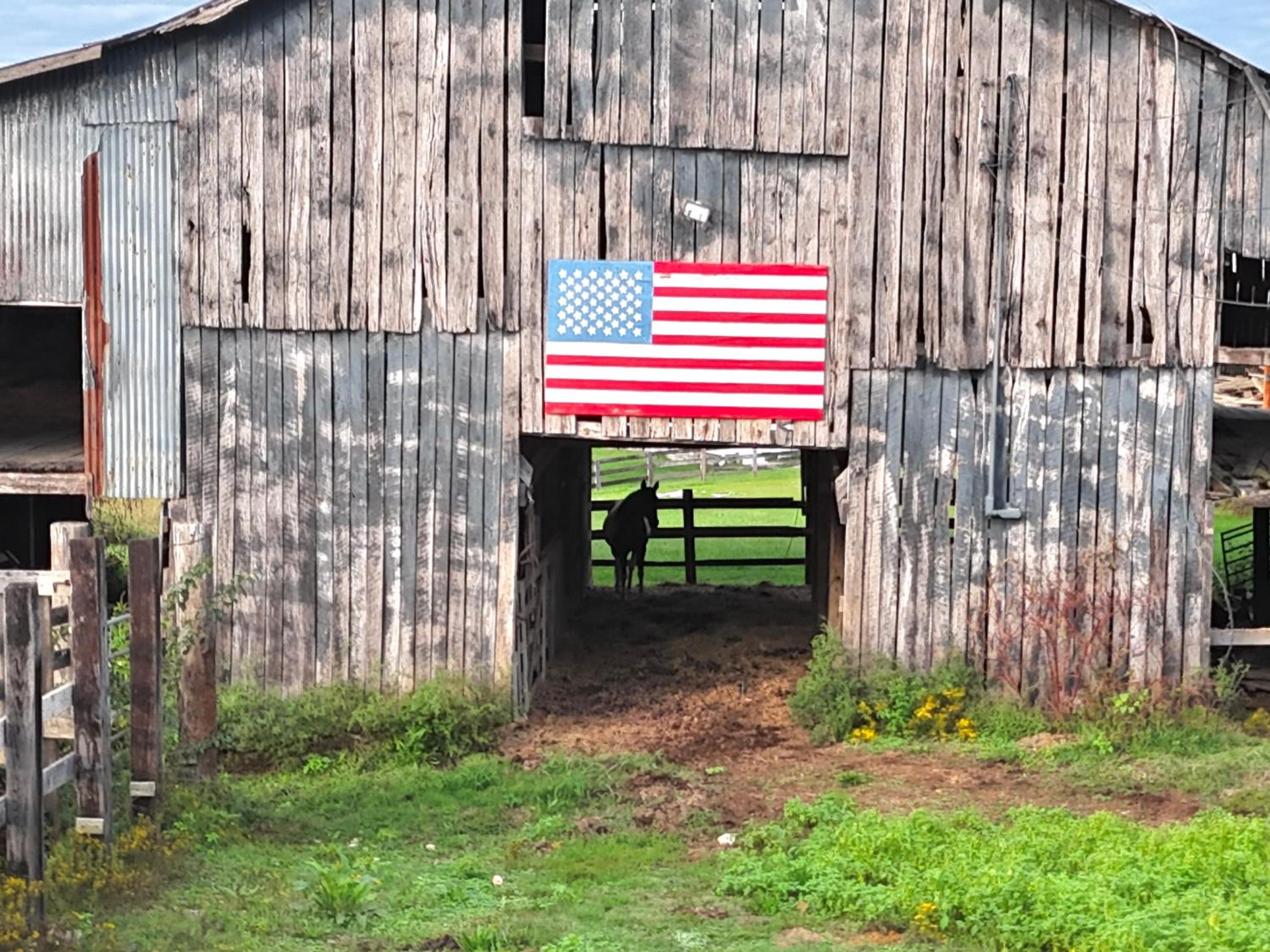 Muletown Manor