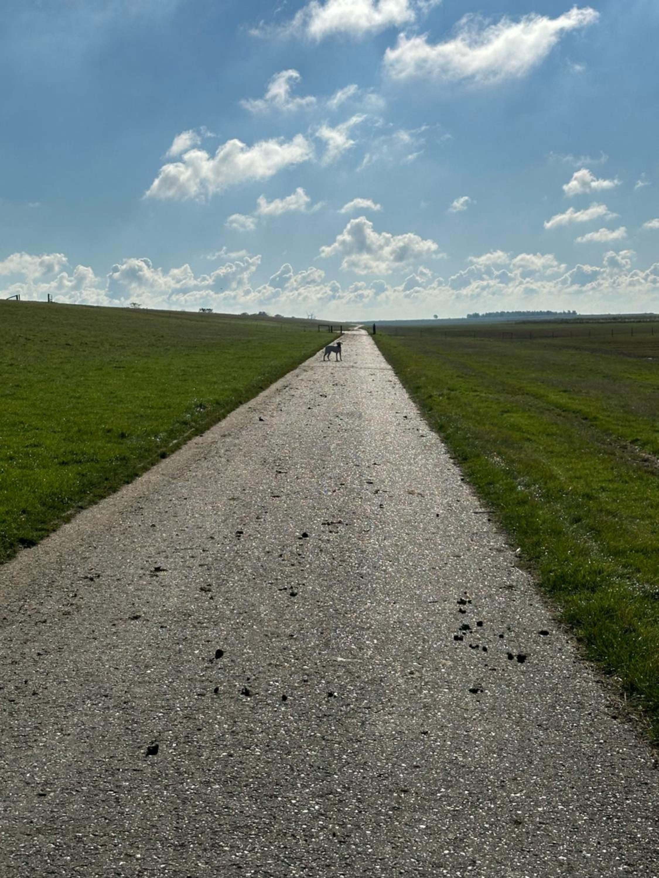 Lenis Deichblick