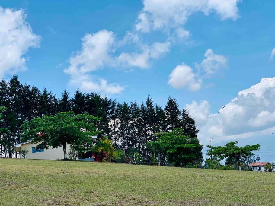 Country house with an incredible view to the city