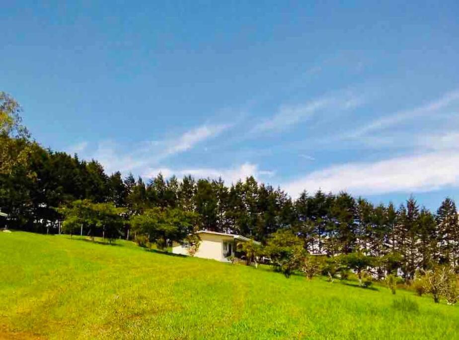 Country house with an incredible view to the city